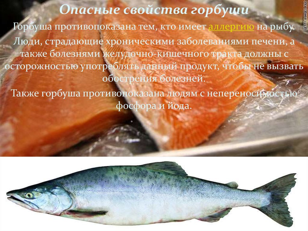 Голец: что за рыба, польза, как выбрать, как хранить, как приготовить