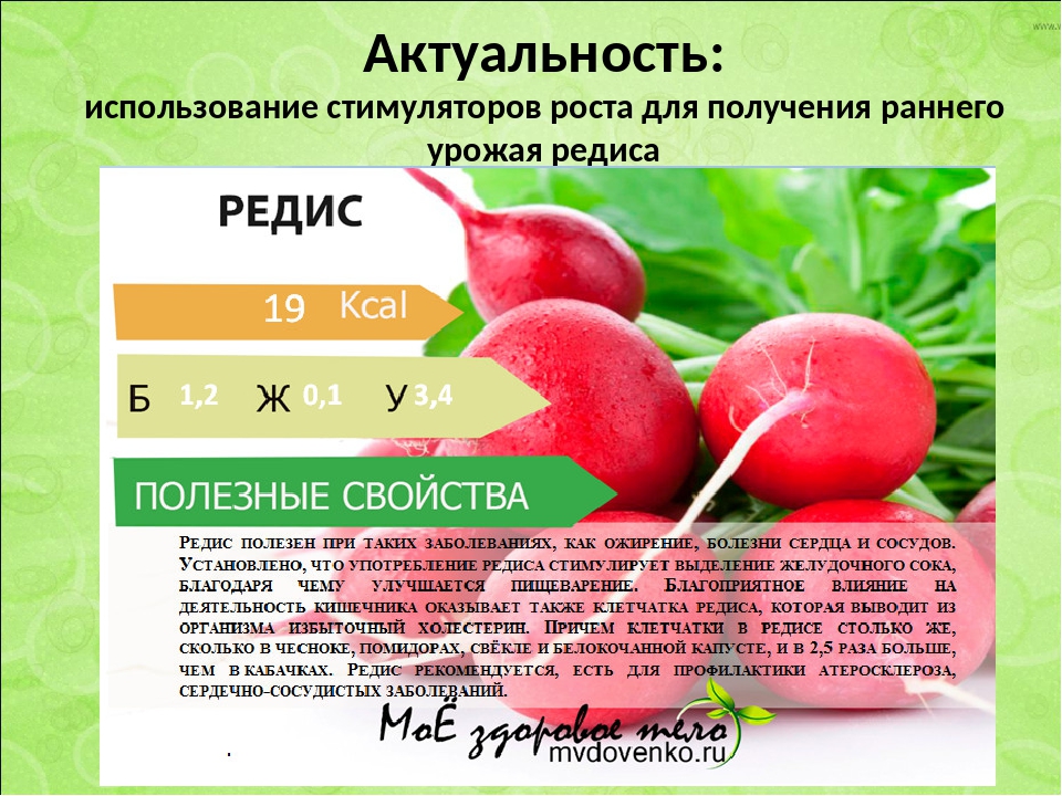 Калорийность репы, ее химический состав, пищевая и энергетическая ценность, количество ккал и бжу в желтой и других разновидностях, а также в вареном овоще tokyomarket.ru