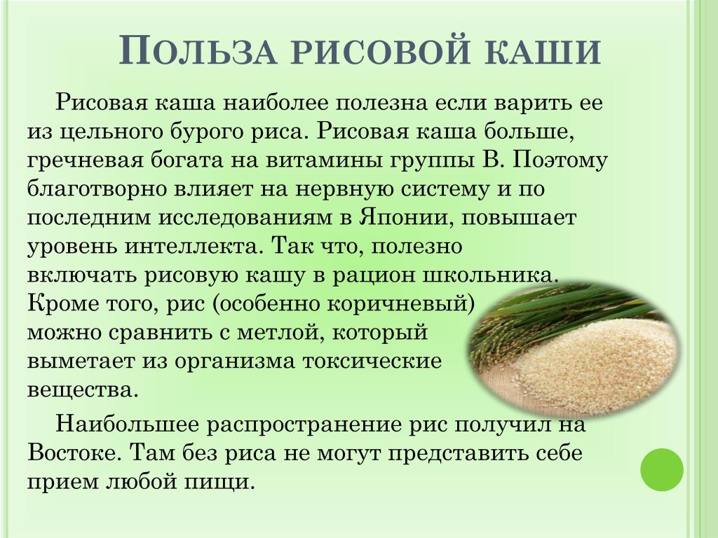 Пищевая ценность риса, полезные свойства и химический состав :: syl.ru