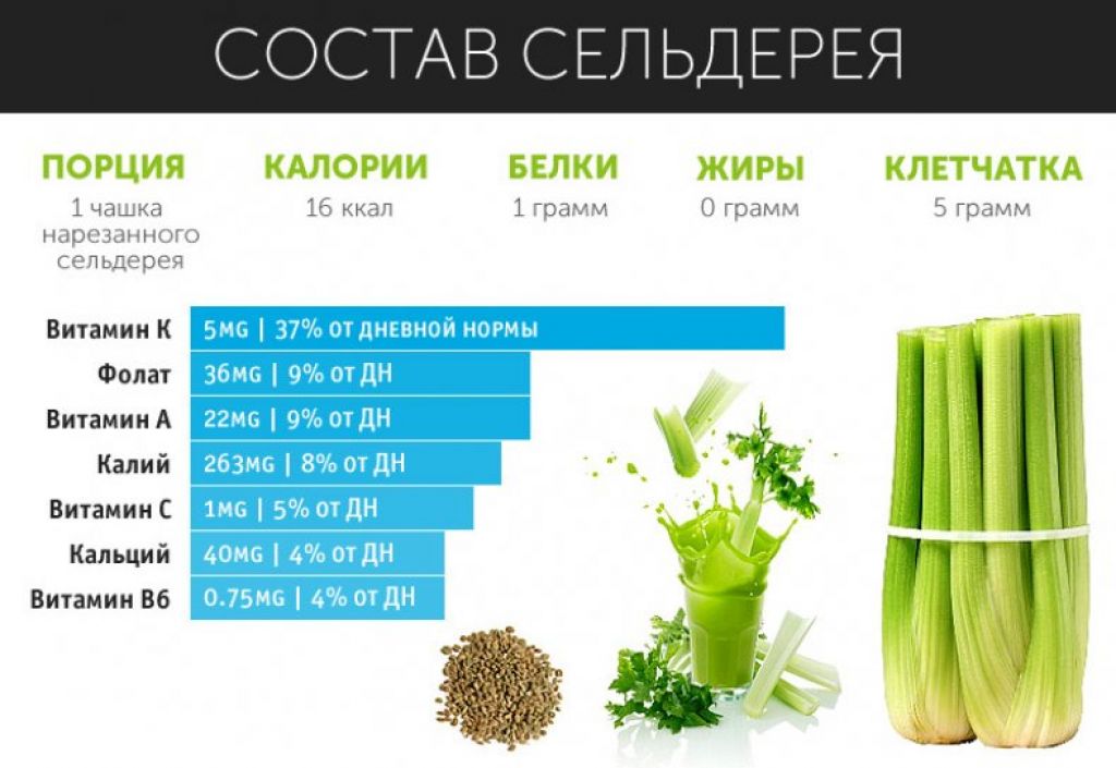 Сельдерей: польза, вред, состав, противопоказания и калорийность стебля и листьев