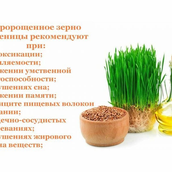 Масло зародышей пшеницы – эффективное средство по уходу за кожей лица