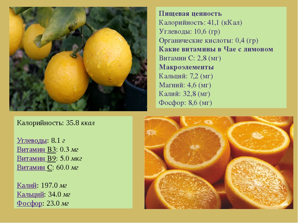Апельсины: чем они полезны и кому их нельзя есть :: инфониак