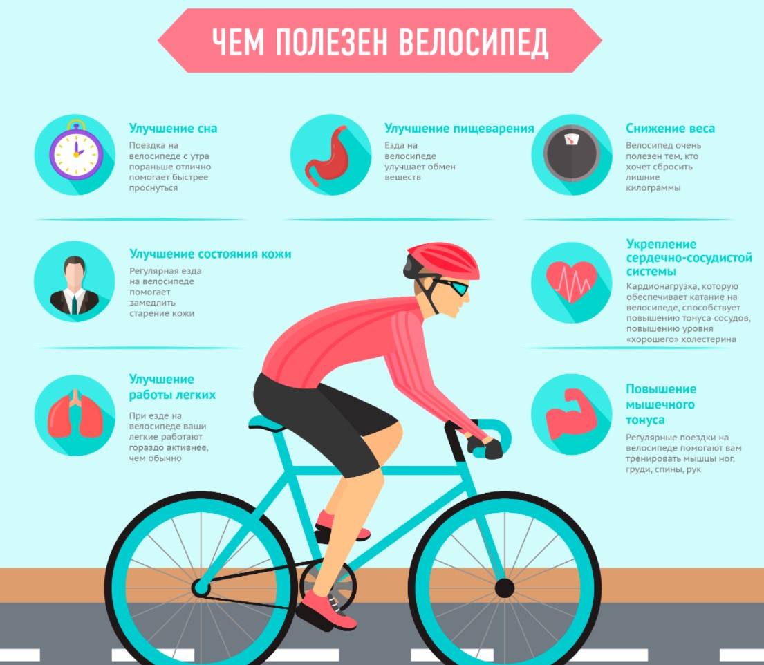Велотренажер, польза и вред, и какие мышцы работают, отличия от байка