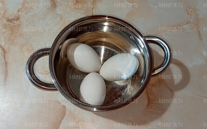 Гусиные яйца ? : польза и вред, хранение, таблица состава