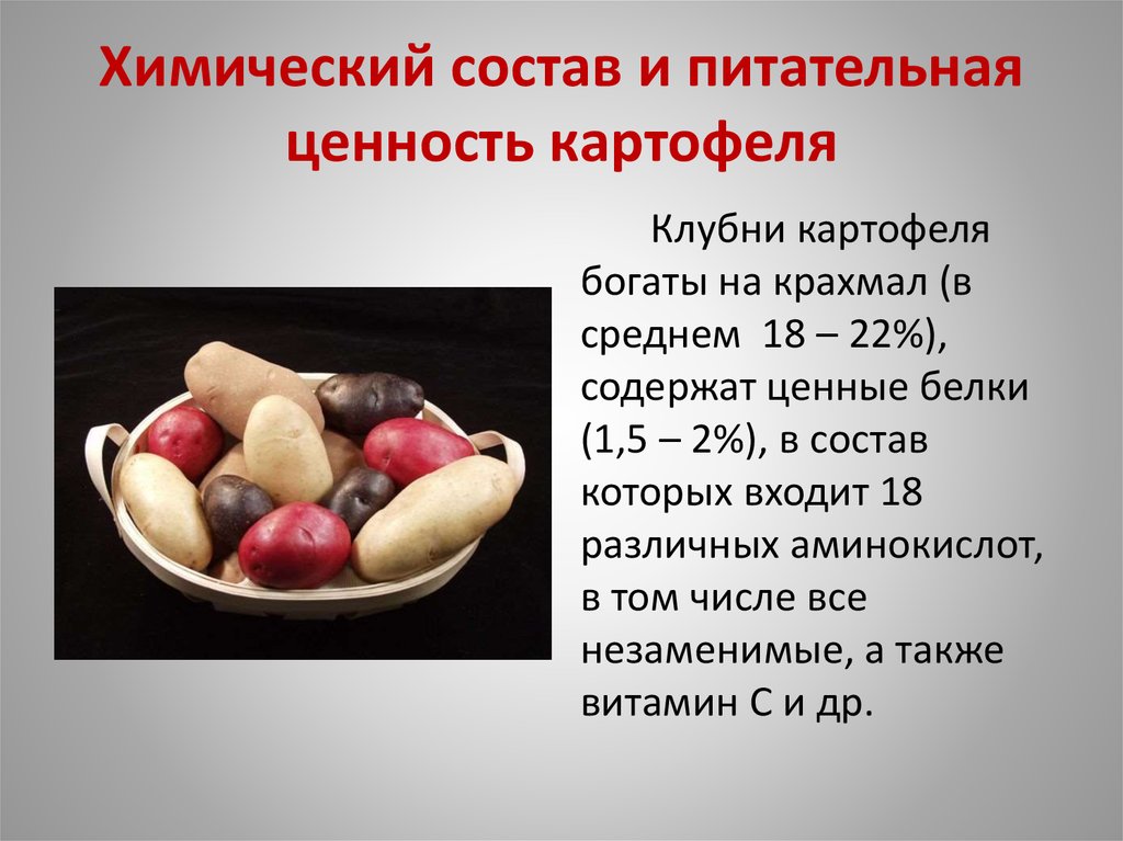Полезные свойства картофеля и вредные для организма человека