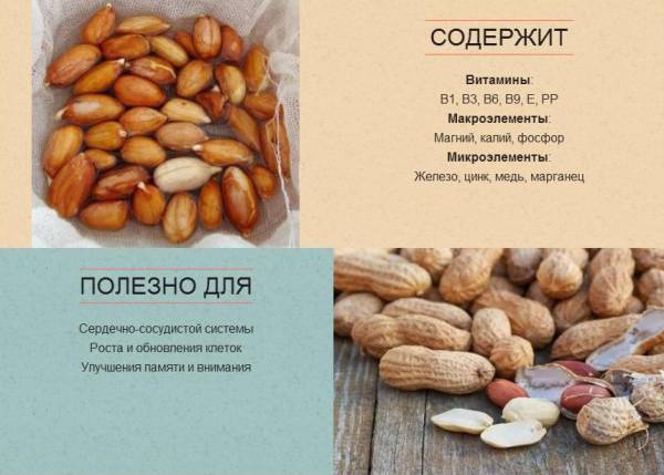 Состав арахиса: витамины и микроэлементы, калорийность