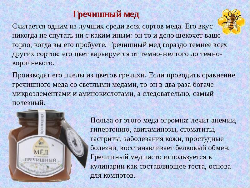 7 видов меда и их характеристики: от гречишного до падевого - новости yellmed.ru