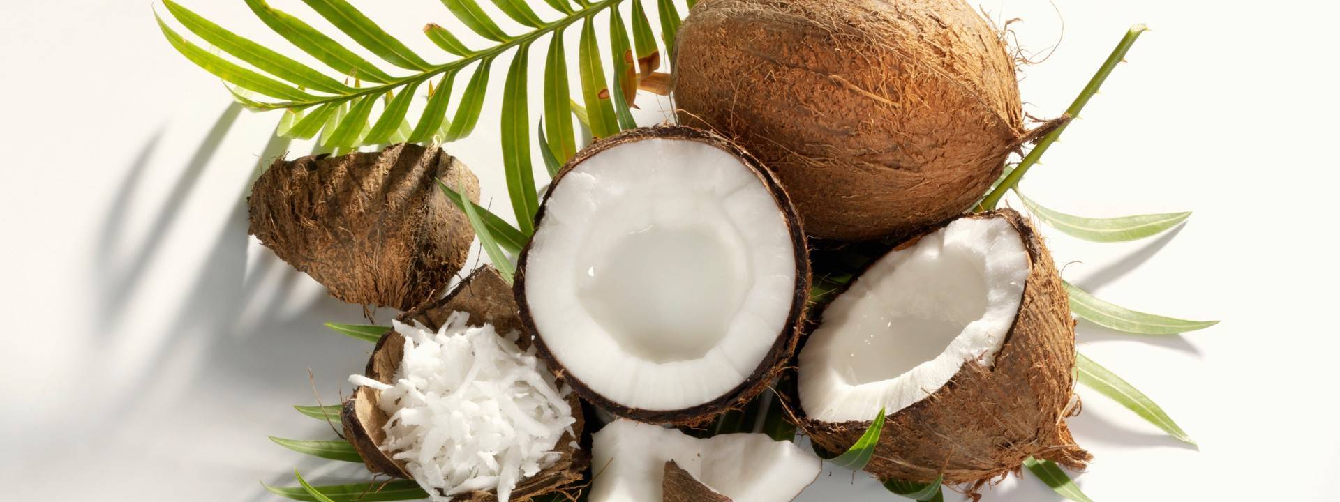 Кокос: калорийность и пищевая ценность. обзор полезных и вредных качеств кокоса, противопоказаний к употреблению и где используют