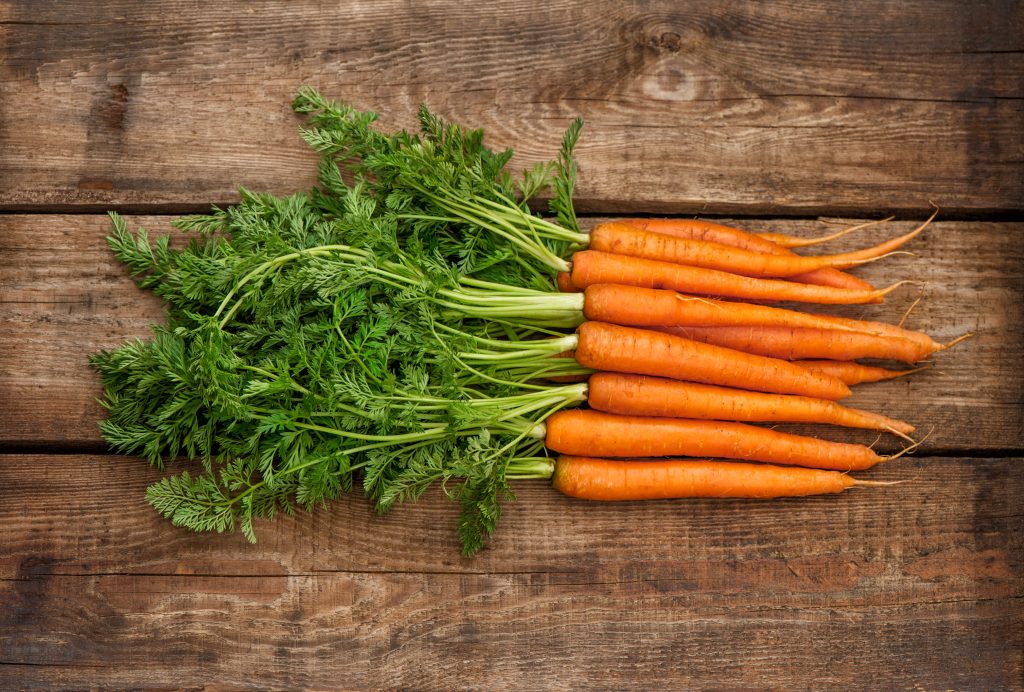 Морковь – полезные свойства, вред и состав продукта