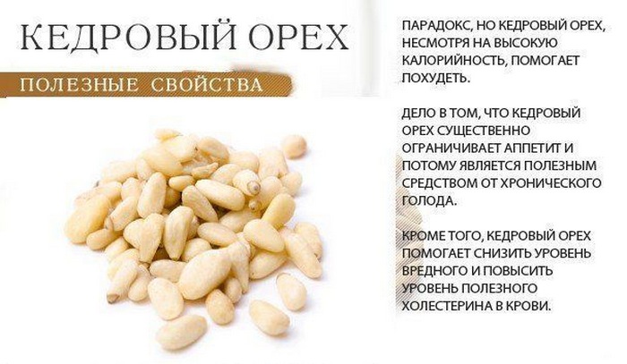 Кедровые орехи: бжу (содержание белков, жиров, углеводов), калорийность, питательная ценность и польза
