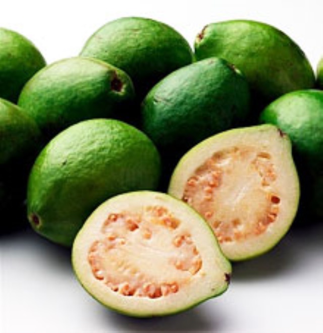 Гуава — описание с фото полезных свойств, вреда и противопоказаний экзотического фрукта; его использование в лечении и кулинарии