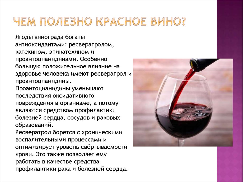 Всё про вино, его состав и полезные свойства, история возникновения и разновидности, интересные факты о вине