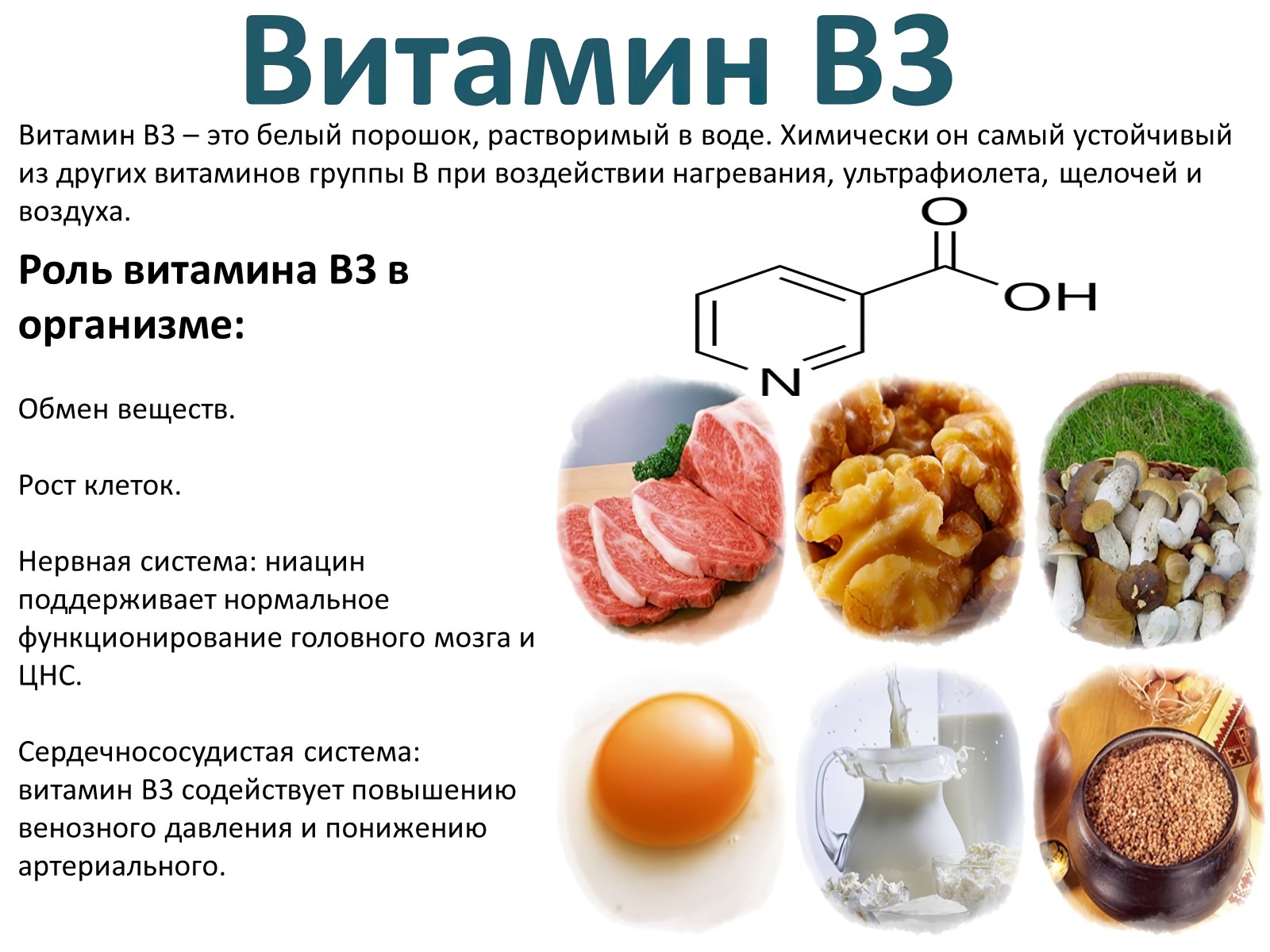Ниацин (витамин b3): в каких продуктах содержится?