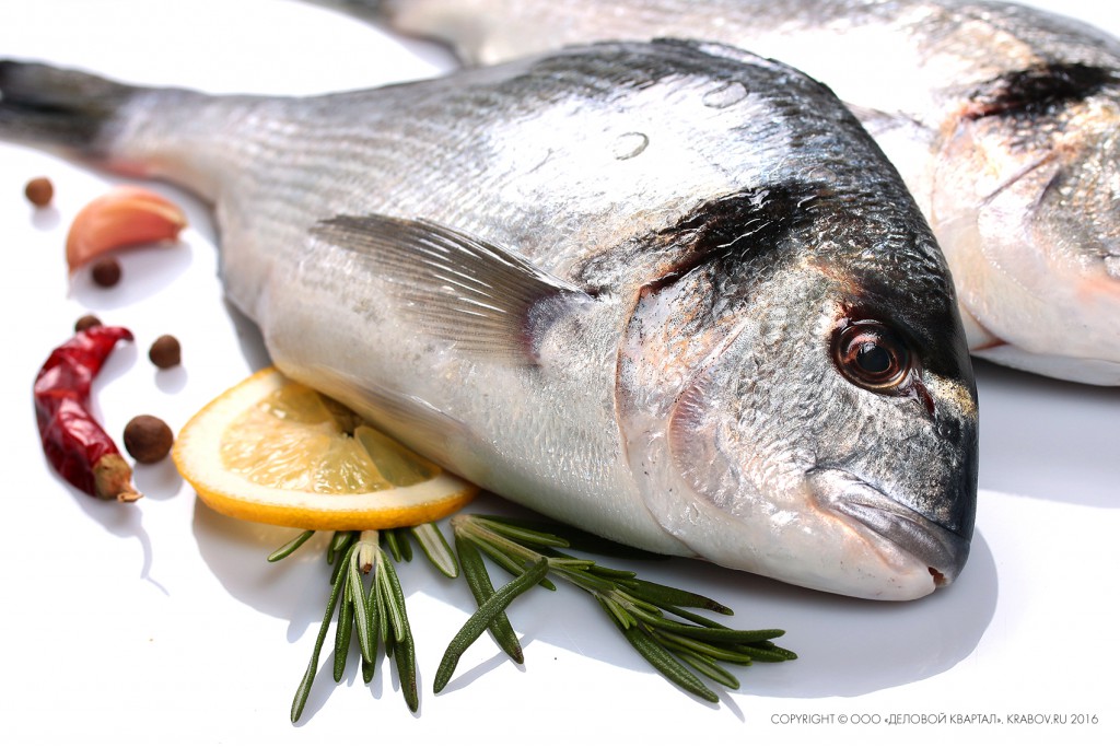 Рыба дорада: морская или речная, польза и вред, рецепты