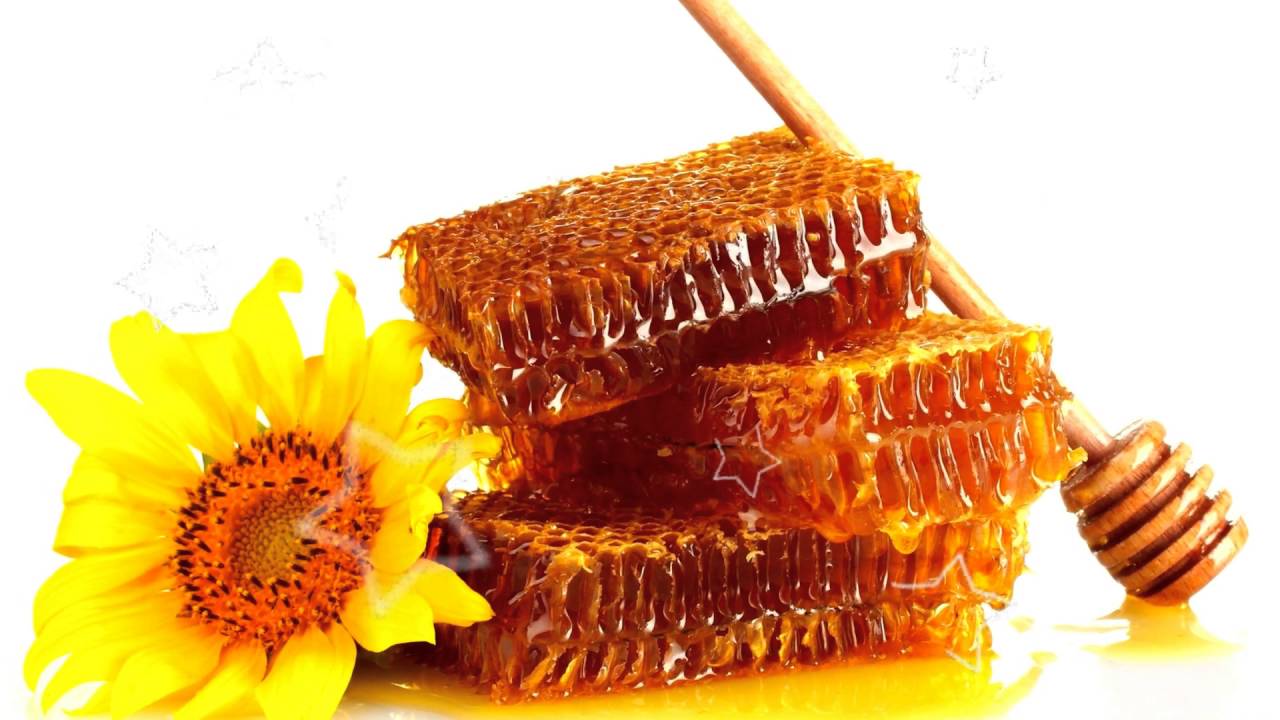 Полезные свойства меда: какие болезни он лечит и как правильно его принимать
