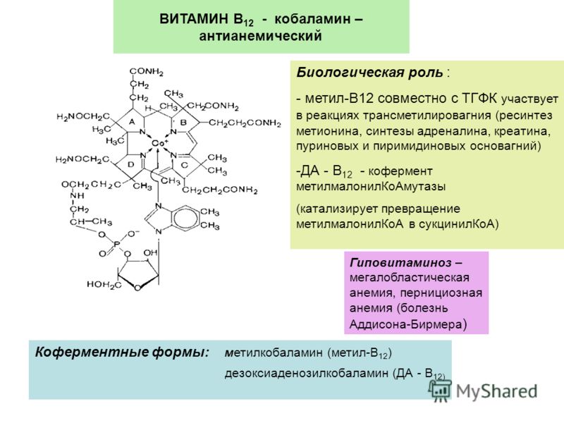 Витамин b16, диметилглицин: инструкция по применению | food and health