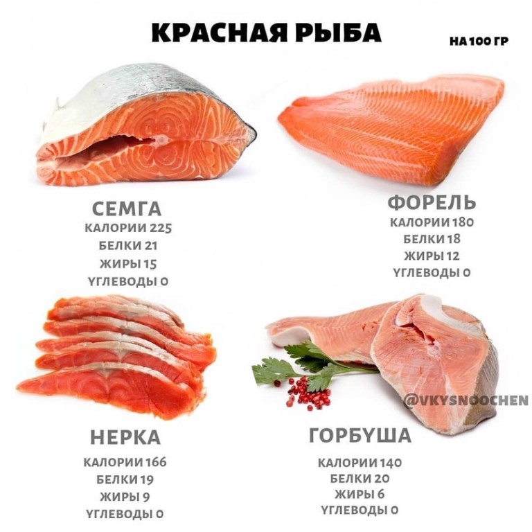 Химический состав и пищевая ценность рыбы. польза рыбы для организма :: syl.ru