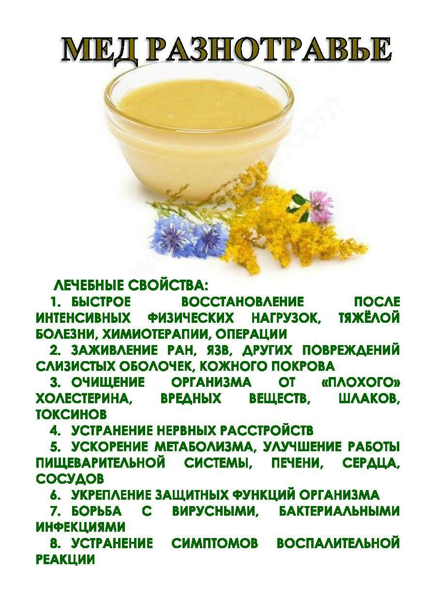 О составе меда: из чего состоит, химический состав и свойства, что содержится