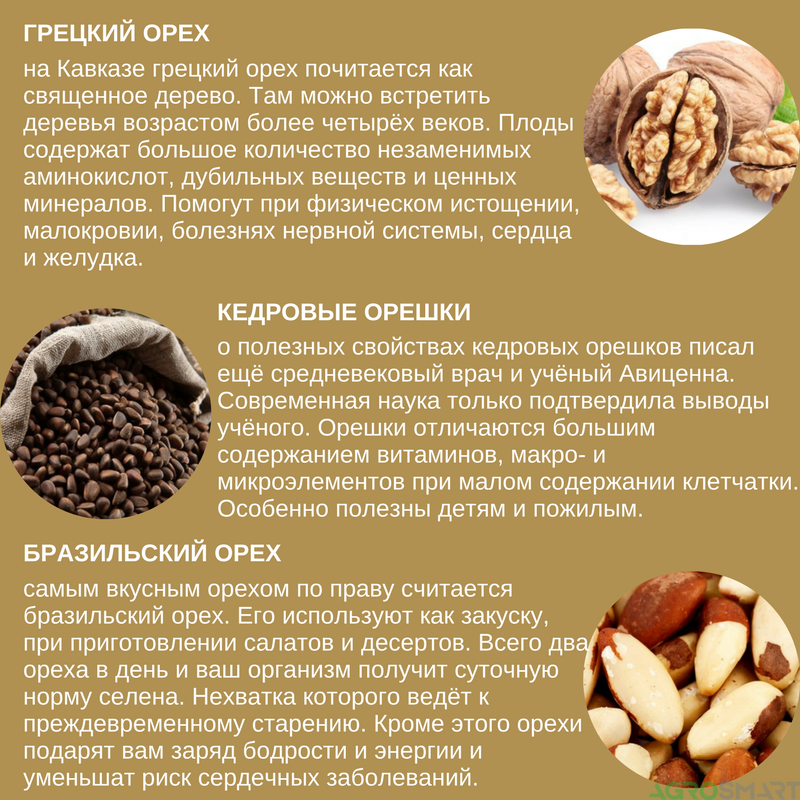 Орехи и семена. таблица калорийности и химический состав продуктов питания.