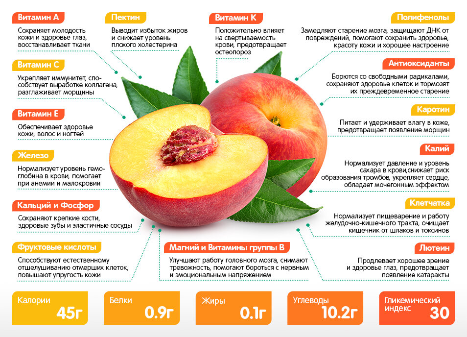 Нектарин фрукт - калорийность, польза и вред для здоровья