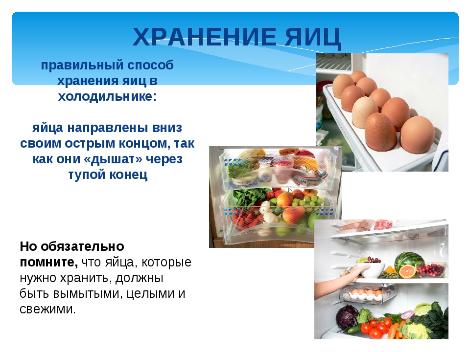Вареные яйца: польза и вред для организма :: syl.ru