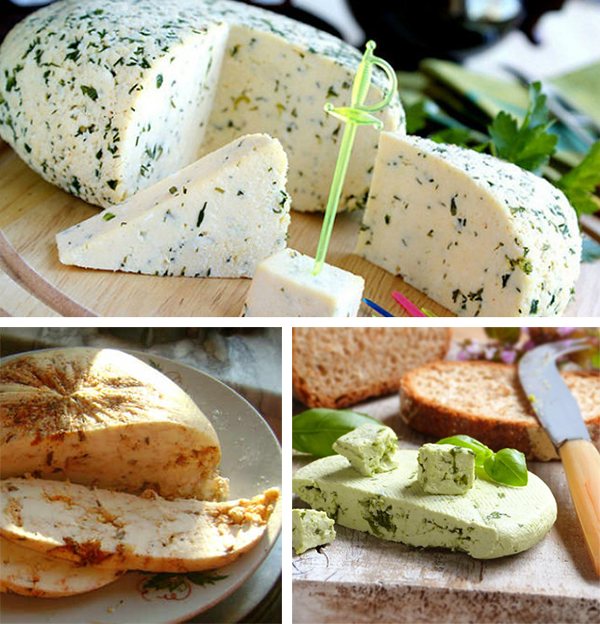 Брынза: польза, приготовление и рецепты рассольного сыра