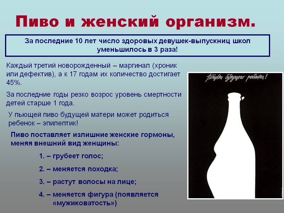 Кто придумал пиво: родина, история создания, в каком году изобрели, когда в россии появилось