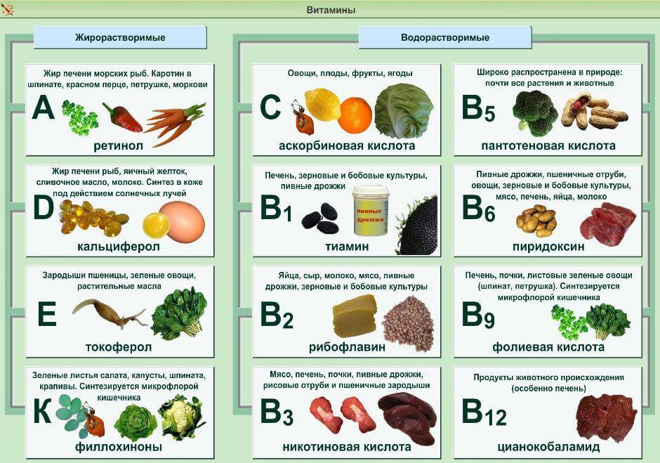 Таблица содержания витамина В9 в продуктах питания – 100 лучших источников
