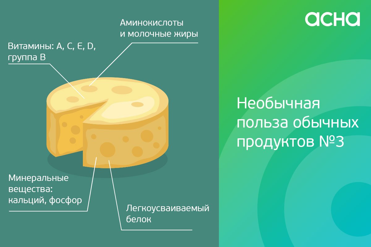 Сыр ламбер: состав, производители, калорийность, жирность