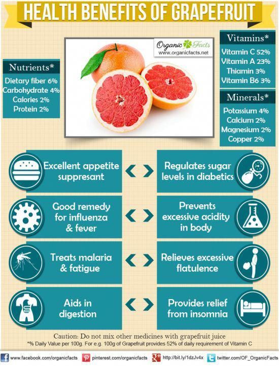 Грейпфрут – полезные свойства и вред для организма при похудении