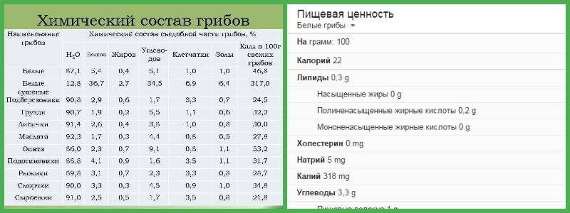 Грибы. таблица калорийности и химический состав продуктов питания.