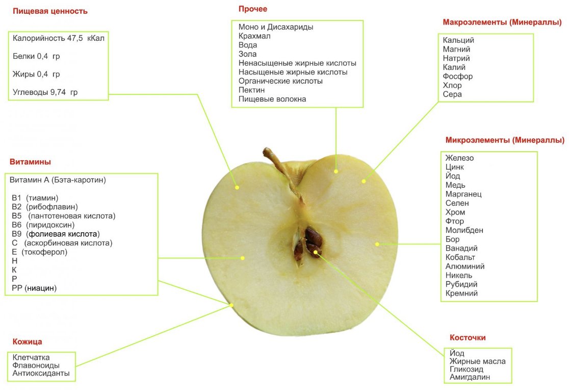 Яблоки антоновка: полезные свойства и противопоказания