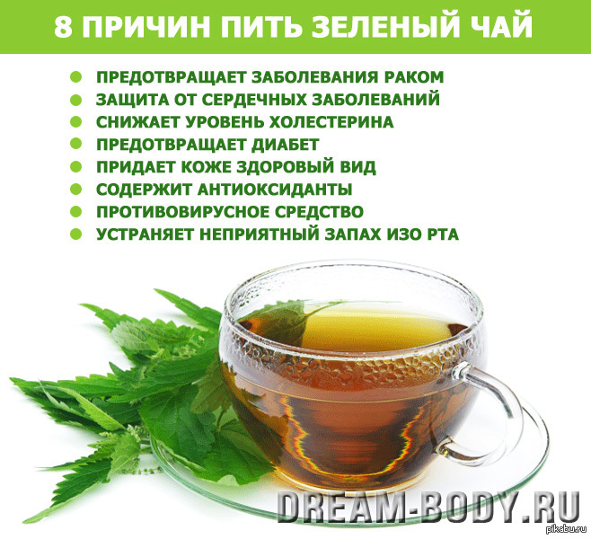 Чай кокейча полезные свойства
