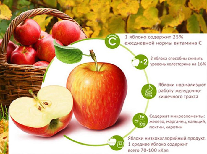Польза кислых яблок, калорийность и рецепты употребления