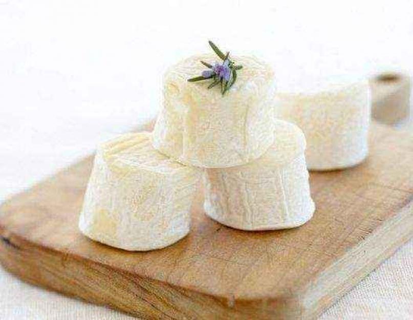 Козий сыр: польза и вред, состав, рецепты