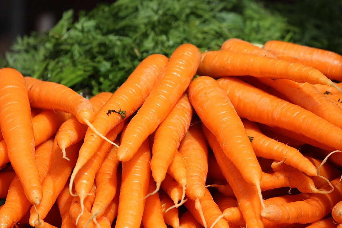 Калорийность моркови