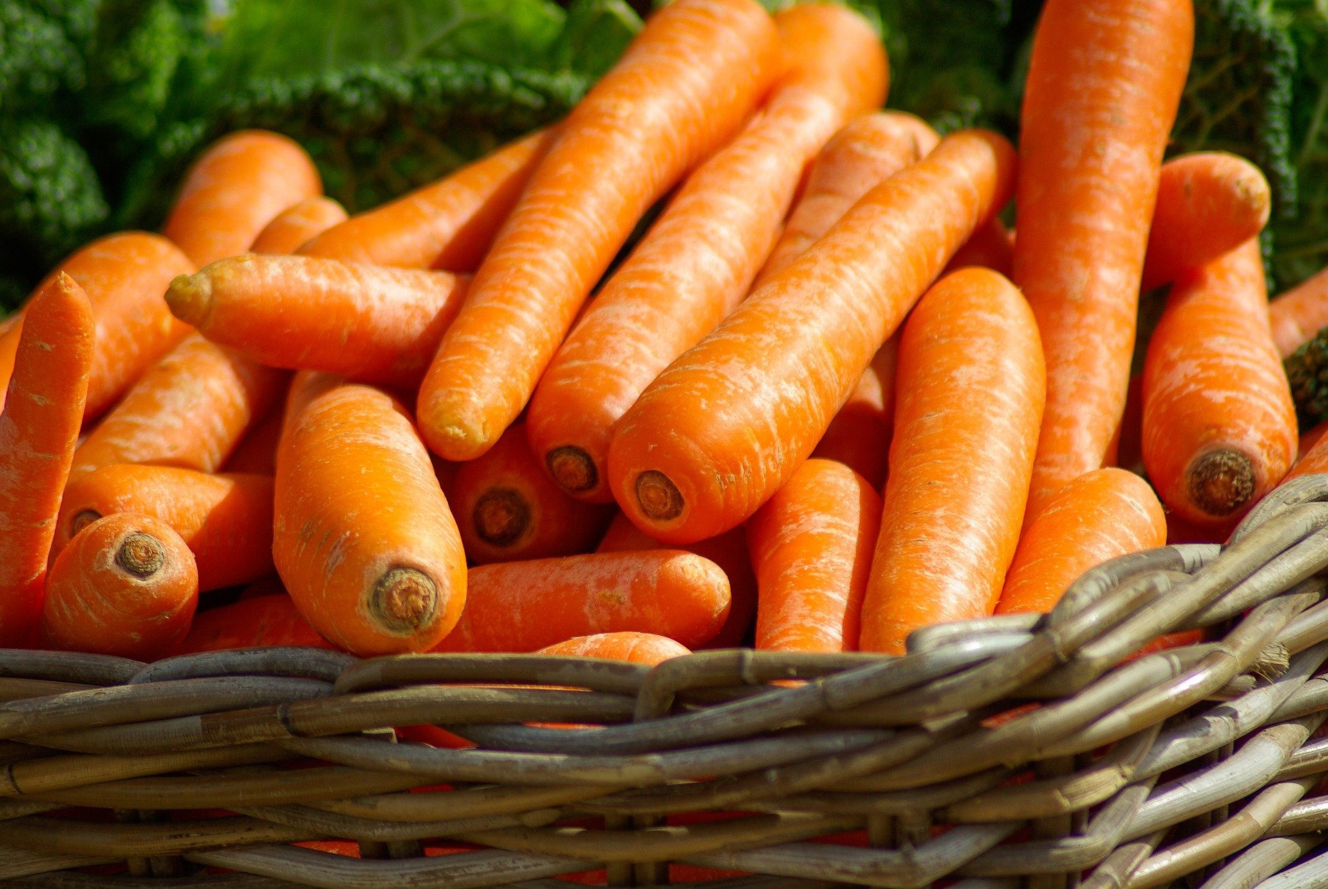 Тертая морковь: калорийность и бжу на 100 грамм, польза и вред для организма человека, рецепты с натертой морковкой