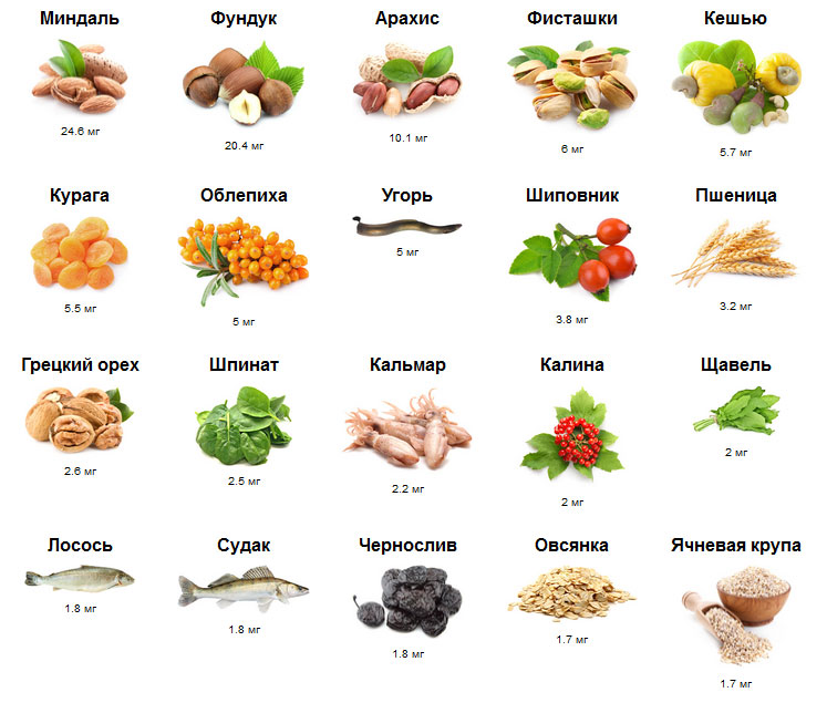 Продукты питания богатые кальцием (топ-100 натуральных источников)
