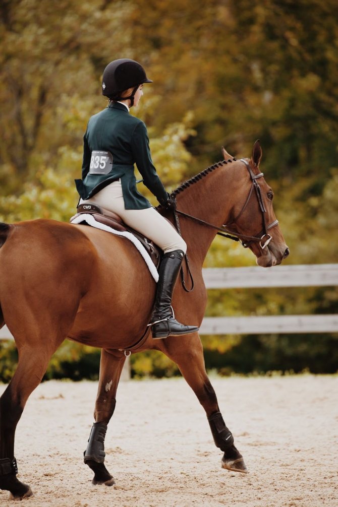 Польза и вред конного спорт для детей и взрослых