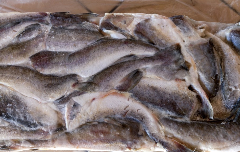 Польза и вред наваги, при каких заболеваниях рекомендуется употреблять рыбу Как вкусно и полезно приготовить навагу Советы по выбору продукта
