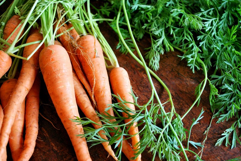 Чем полезна морковная ботва?
