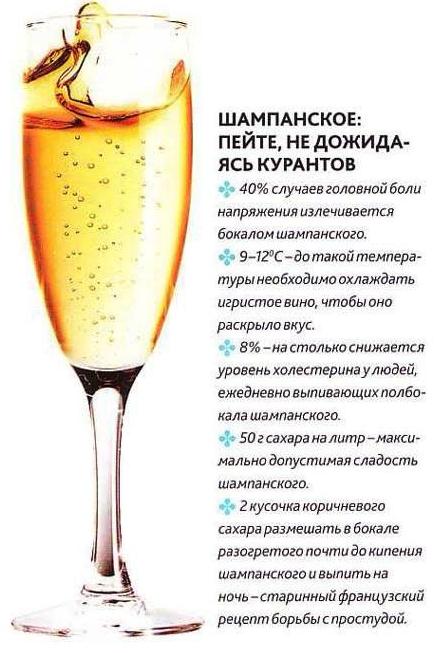 Шампанское: польза и вред, химический состав, правила употребления, противопоказания