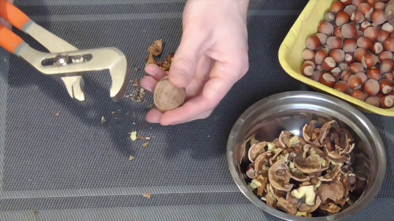 Очищенный фундук: как и чем расколоть скорлупу лесного ореха в домашних условиях быстро и легко, как открыть щипцами для разделки, как очистить от кожицы и шелухи?