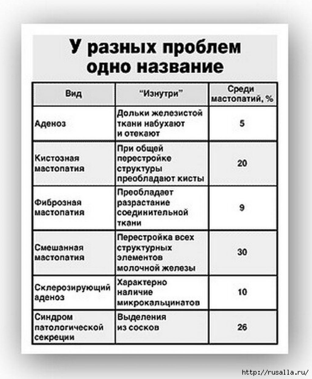 Правильное питание для здоровья груди | портал 1nep.ru