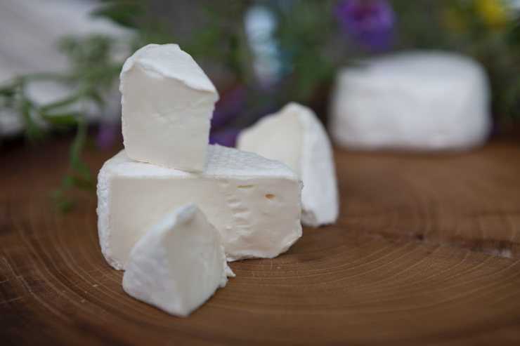 Как сделать сыр из козьего молока в домашних условиях