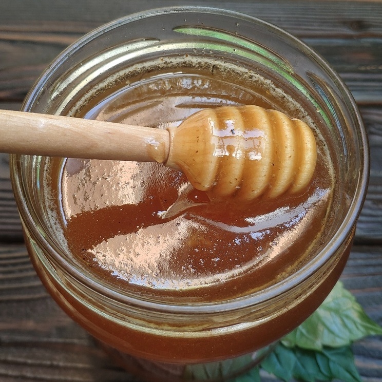 Эспарцетовый мед: его свойства, применение и противопоказания