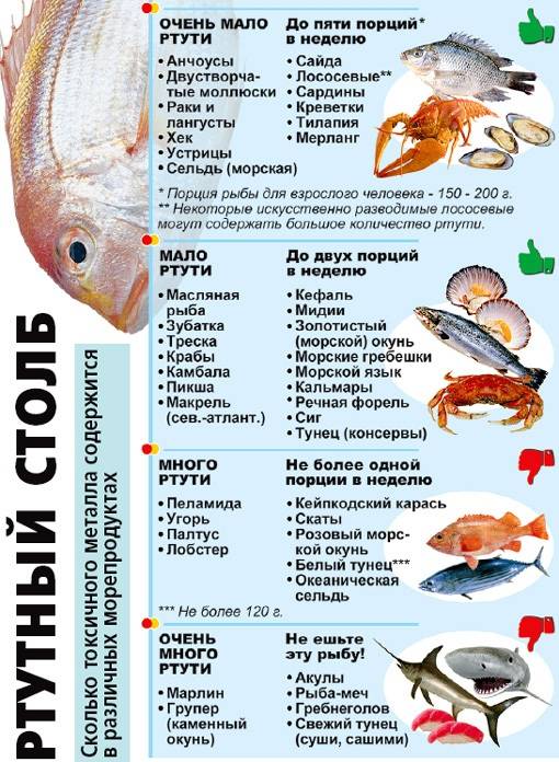 Не все знают, что за рыба – лемонема, а ведь ее польза – в низкой калорийности и ценных свойствах