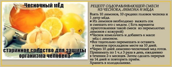 Можно ли заморозить лайм. домашняя консервация на зиму. как заготовить лимоны: подробные рецепты с фото. сбор урожая пальчикового лайма: особенности и хранение