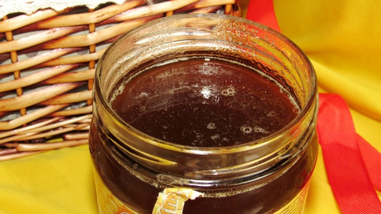 Гречишный мед: полезные свойства, противопоказания, рецепты блюд