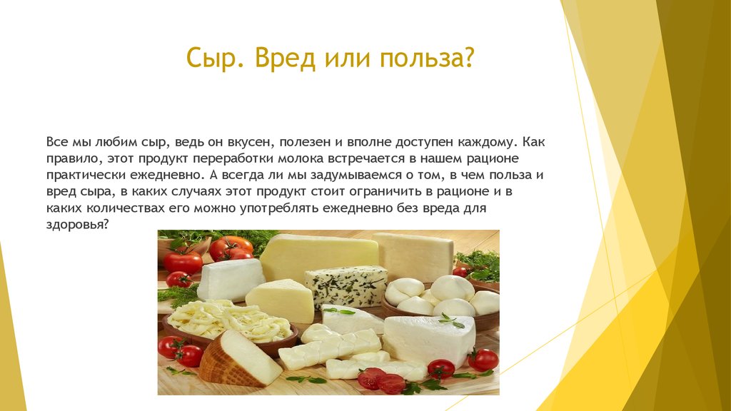 Что такое сыр сулугуни, как он производится, его состав, полезные свойства и противопоказания Советы по выбору и хранению сулугуни Рецепт домашнего сыра сулугуни